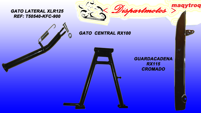 GATO  CENTRAL  Y LATERAL